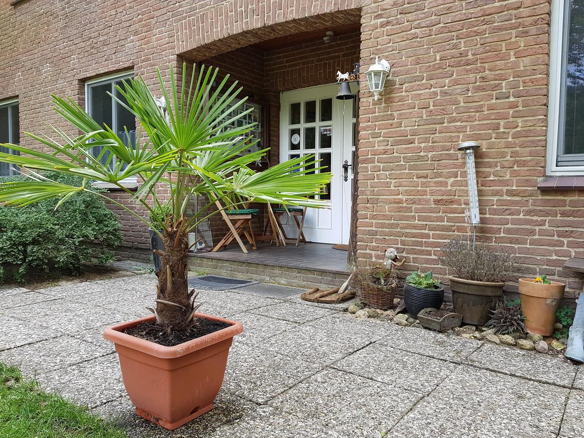 Pension 'Das Kleine Landhaus' Oberhaverbeck Extérieur photo