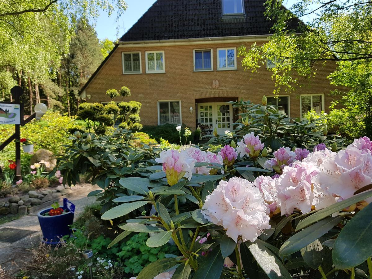 Pension 'Das Kleine Landhaus' Oberhaverbeck Extérieur photo